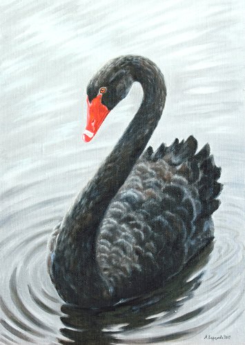 Марина Ефремова. Картина Чёрный лебедь. 2012. Холст, масло. 70х50