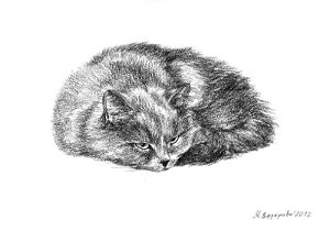 Художественный проект Один день из жизни кошки. Марина Ефремова. Кошка проснулась. 2012. Бумага, уголь. 30х20