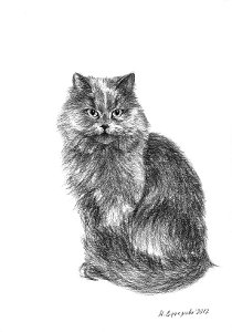 Художественный проект Один день из жизни кошки. Марина Ефремова. Кошка обижается. 2012. Бумага, уголь. 30х20