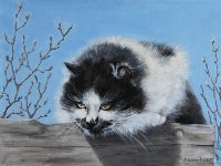 Марина Ефремова. Картина Кот на заборе. 2013. Холст, масло. 30х40