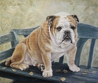 Марина Ефремова. Картина Английский бульдог Сократ, 2013 г, холст, масло,  60х70