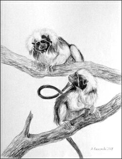 picture Марина Ефремова: Тамарины, 2008 г.