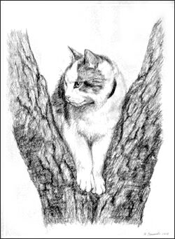 picture Марина Ефремова: Кошка на каштане, 2008 г.