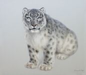 picture Марина Ефремова: Ирбис
