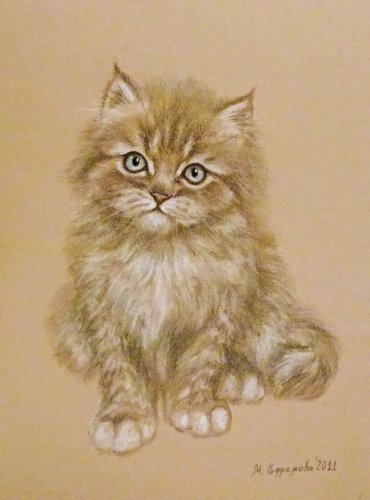 Марина Ефремова. Картина Котёнок. 2011. Бумага, пастель. 30х22