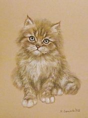Марина Ефремова. Картина Котёнок. 2011. Бумага, пастель. 30х22