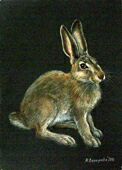 Марина Ефремова. Картина Заяц-русак. 2010. Бумага, пастель. 30х21