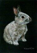 Марина Ефремова. Картина Крольчонок. 2010. Бумага, пастель. 30х21
