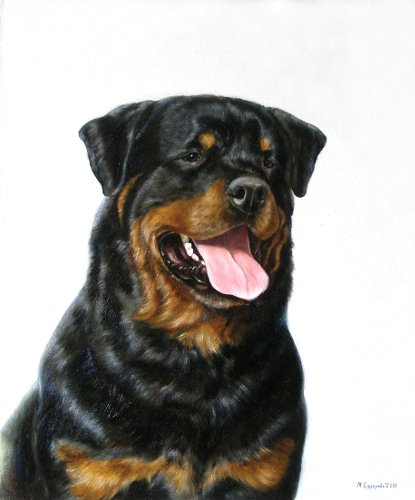 Марина Ефремова. Картина Ротвейлер. 2009. Холст, масло. 60х50
