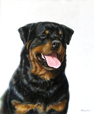 Марина Ефремова. Картина Ротвейлер. 2009. Холст, масло. 60х50