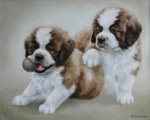 Марина Ефремова. Картина Играющие щенки сенбернара. 2011. Холст на оргалите, масло, 40х50