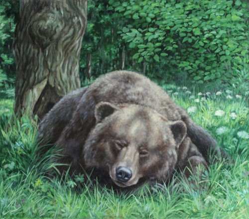Марина Ефремова. Картина Сон (Бурый медведь). 2013. Холст, масло. 70х80