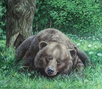 Марина Ефремова. Картина Сон (Бурый медведь). 2013. Холст, масло. 70х80
