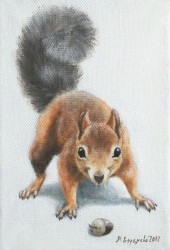 Марина Ефремова. Картина Белка с жёлудем. 2012. Холст, масло. 30х20