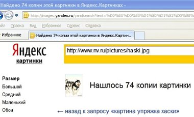 В Яндексе нашлось 74 копии этой картины